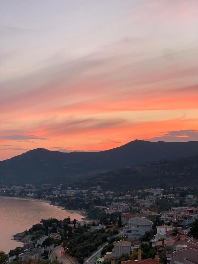 Mimoza'S Sea View Apartment PalaiónTsiflíkion Εξωτερικό φωτογραφία