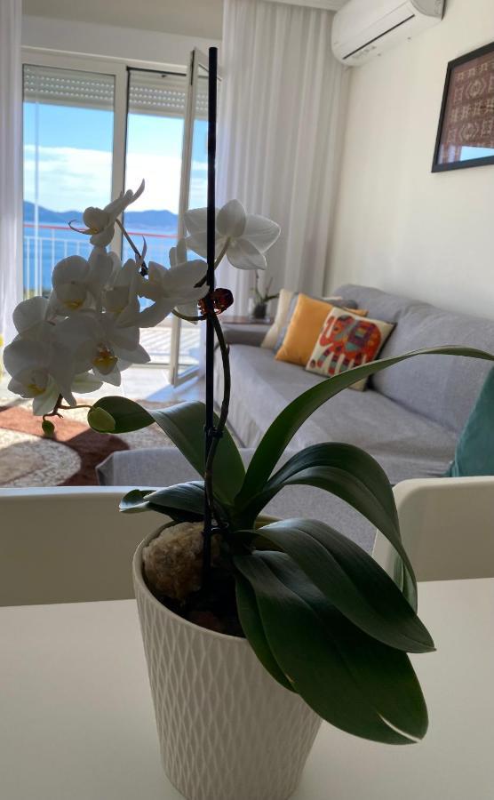 Mimoza'S Sea View Apartment PalaiónTsiflíkion Εξωτερικό φωτογραφία