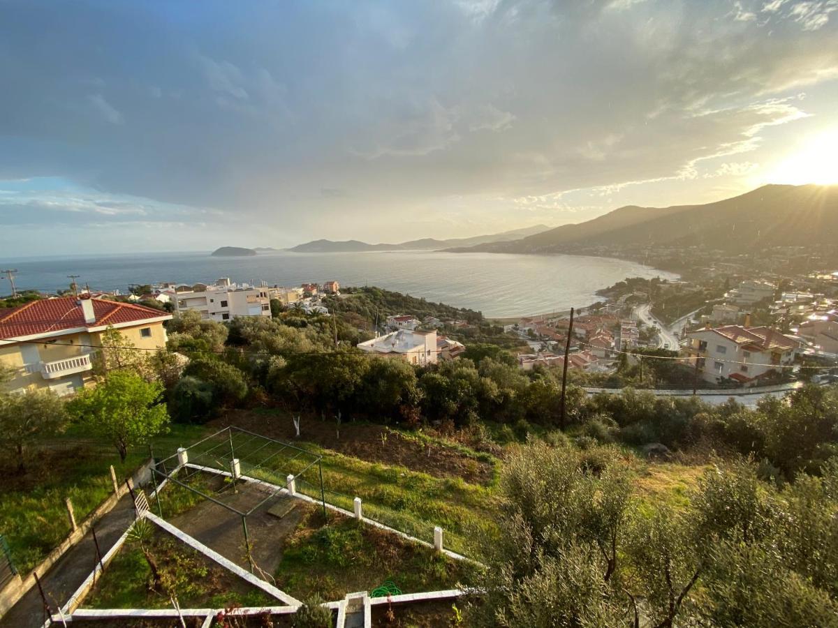 Mimoza'S Sea View Apartment PalaiónTsiflíkion Εξωτερικό φωτογραφία
