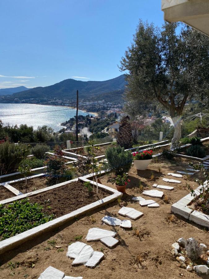 Mimoza'S Sea View Apartment PalaiónTsiflíkion Εξωτερικό φωτογραφία